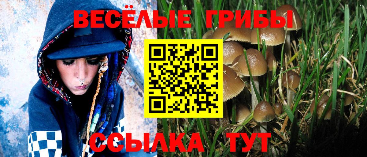 Галлюциногенные грибы мицелий Краснодар